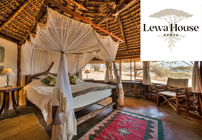 Lewa House