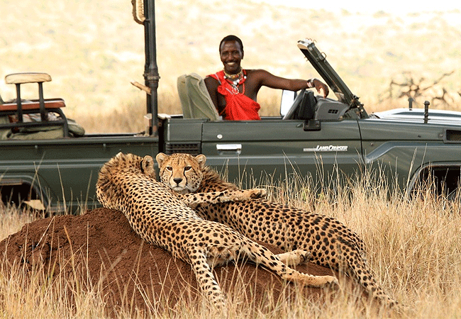 Lewa Conservancy Animals