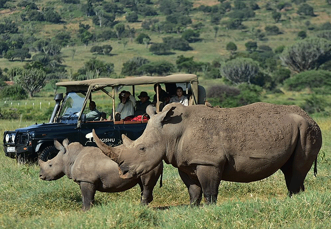 Lewa Wildlife Conservancy