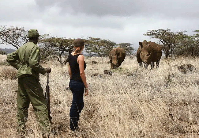 Lewa Wildlife Conservancy activities