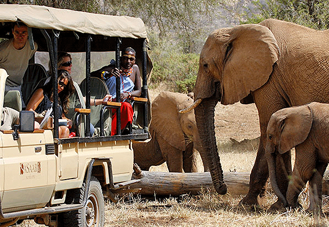 Shaba National Reserve