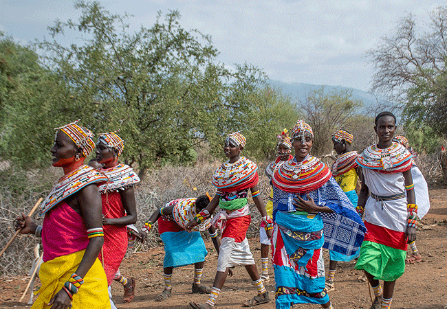 Shaba National Reserve