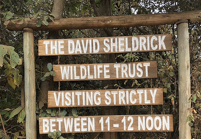 Daphne Sheldrick Elephant Orphanage