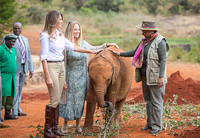 Daphne Sheldrick Elephant Orphanage