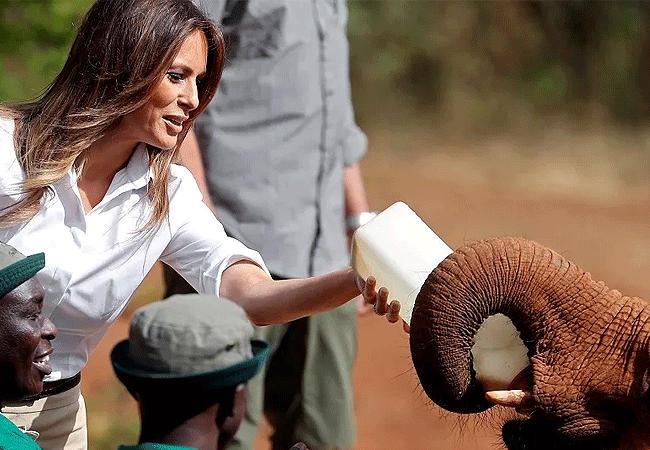 Daphne Sheldrick Elephant Orphanage