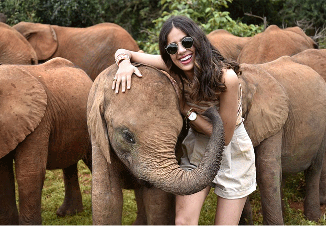 Daphne Sheldrick Elephant Orphanage