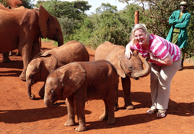 Daphne Sheldrick Elephant Orphanage