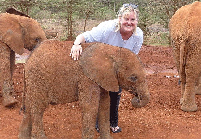 Daphne Sheldrick Elephant Orphanage