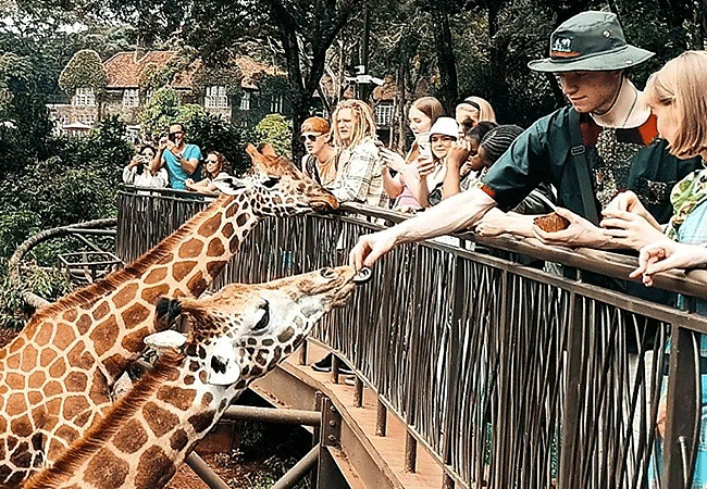 Giraffe Centre Nairobi