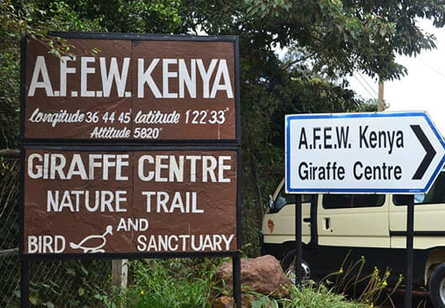 Giraffe Centre Nairobi