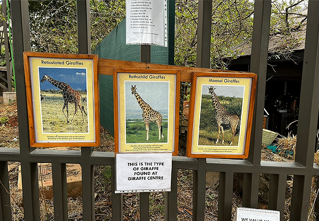 Giraffe Centre Nairobi