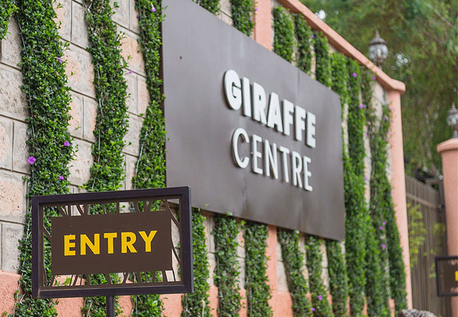 Giraffe Centre Nairobi