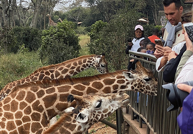 Giraffe Centre Nairobi