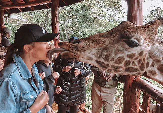 Giraffe Centre Nairobi