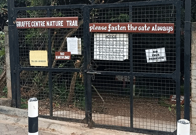 Giraffe Centre Nairobi