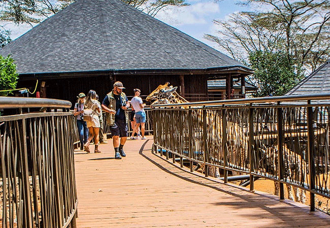 Giraffe Centre Nairobi