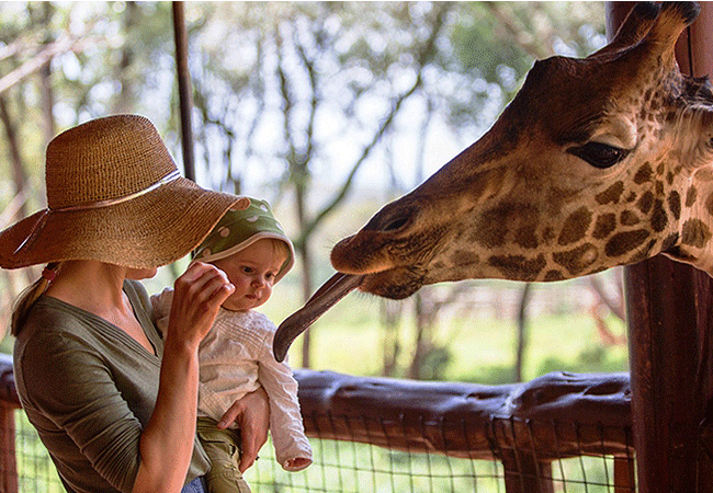 Giraffe Centre Nairobi