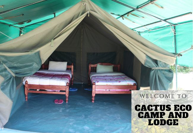 Lake Elementaita Wildlife Sanctuary