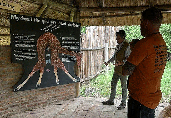 Arusha Giraffe Centre Tanzania