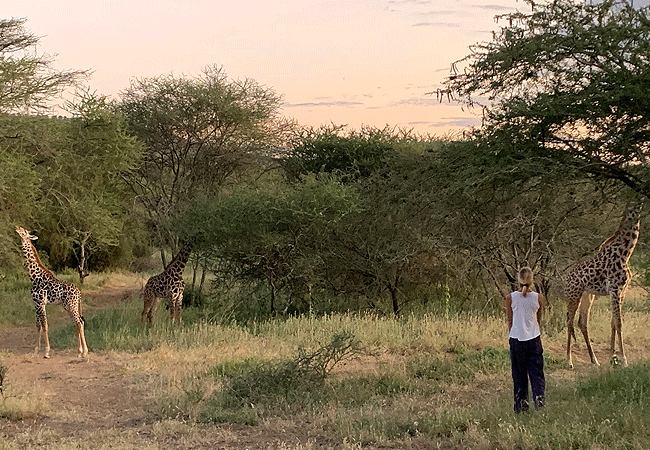 Arusha Giraffe Centre Tanzania