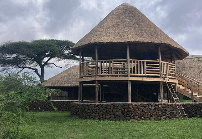 Arusha Giraffe Centre Tanzania