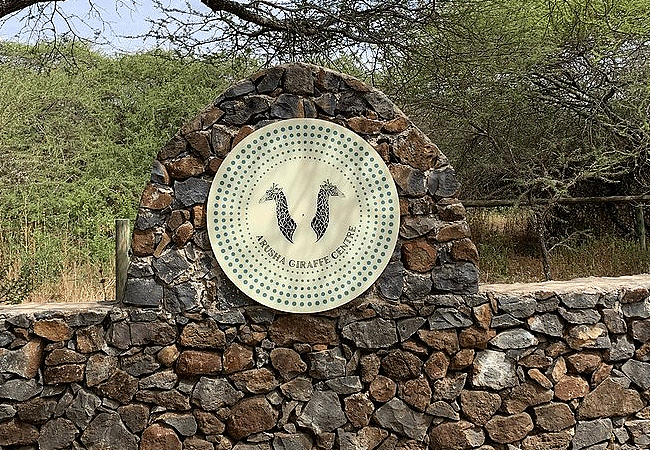 Arusha Giraffe Centre Tanzania