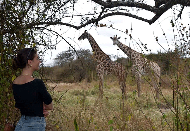 Arusha Giraffe Centre Tanzania