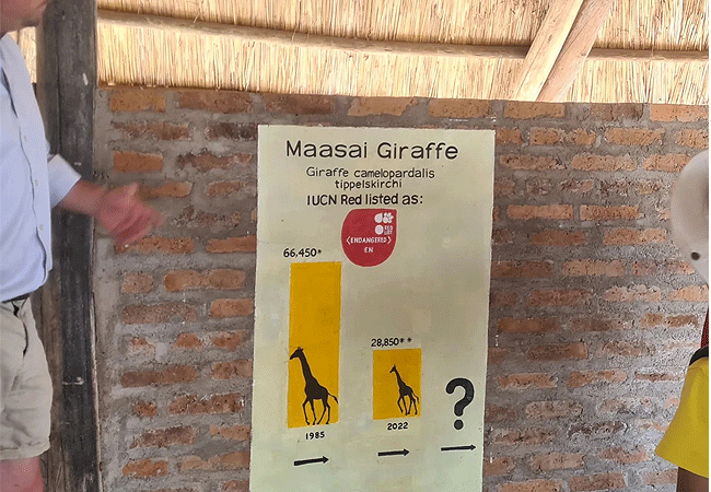 Arusha Giraffe Centre Tanzania