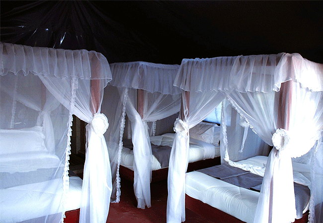 Endeem Mara Resort