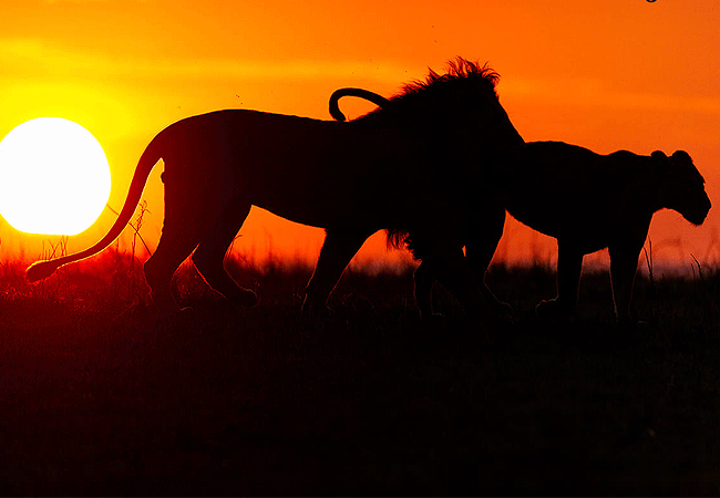 Endeem Mara Resort