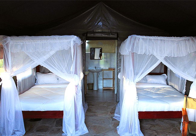 Endeem Mara Resort