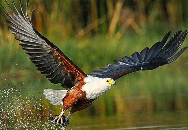 Ndere Island National Park