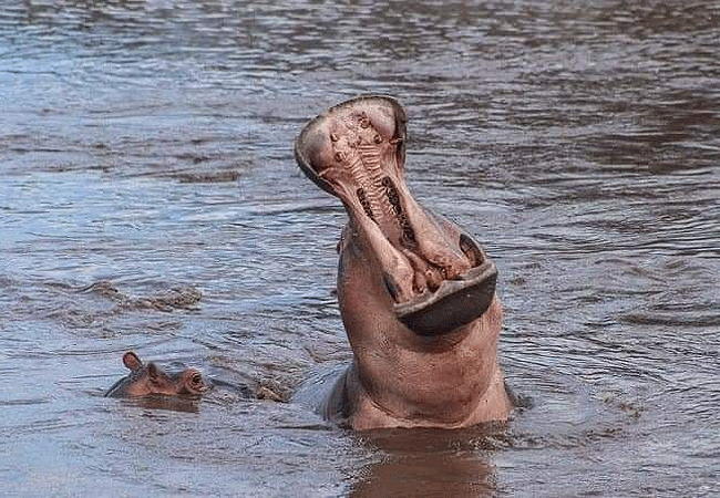 Ndere Island National Park