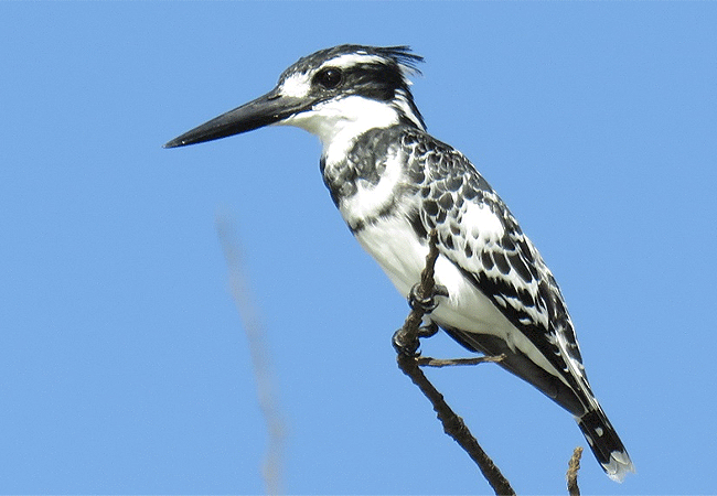 Ndere Island National Park