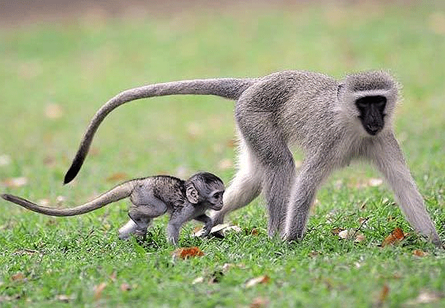 Ndere Island National Park