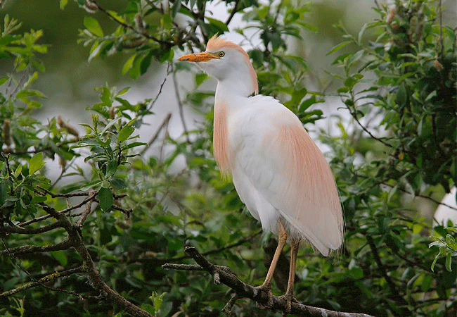 Ndere Island National Park