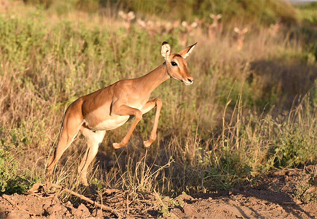 Ndere Island National Park