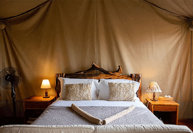Tangulia Ndogo Maasai Mara camp Kenya