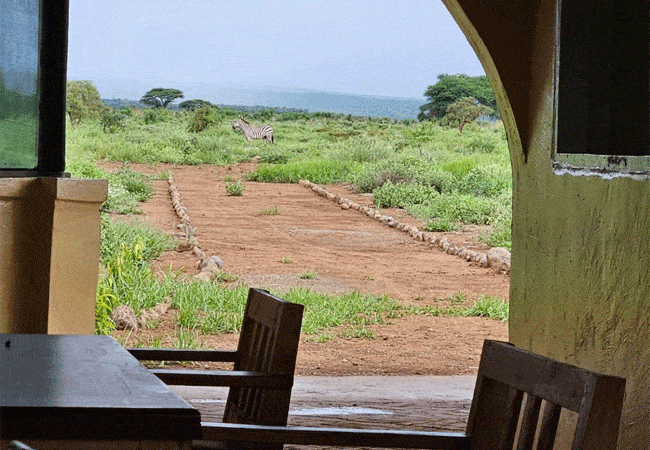 Sungura Safari Camp Amboseli National Park