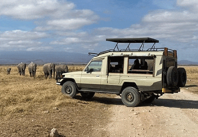 Sungura Safari Camp Amboseli
