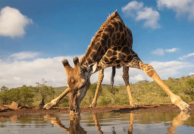 Sungura Safari Camp Amboseli