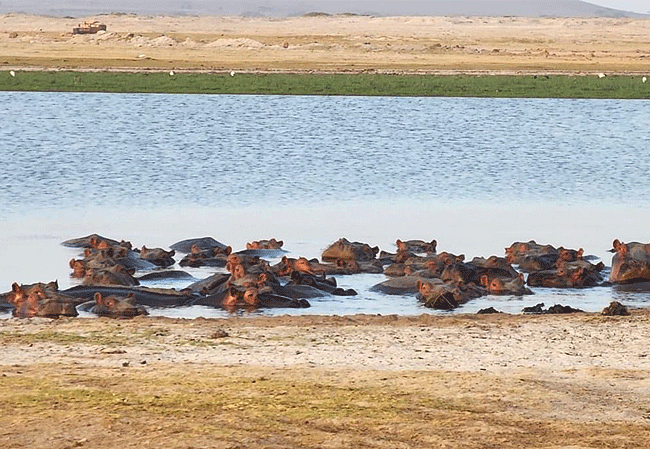 Sungura Safari Camp Amboseli