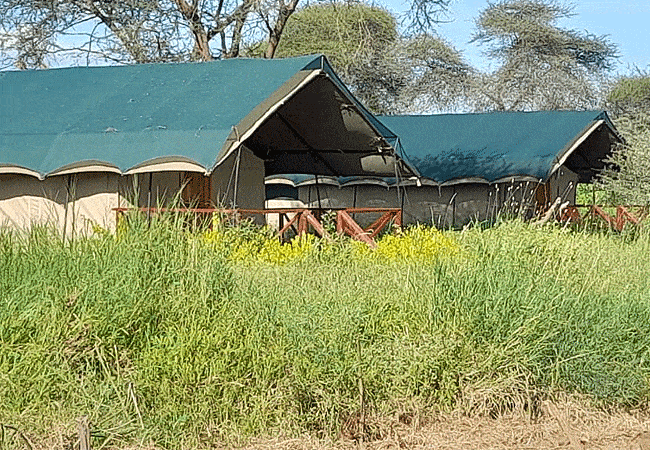 Sungura Safari Camp Amboseli