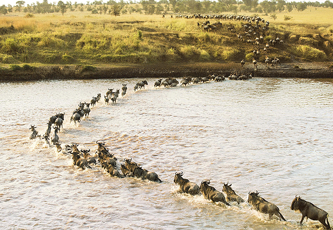 jw-marriott-ritz-carlton-camp-masai-mara-safari-camp-sand-river JW Ritz-Carlton Masai Mara Safari Camp