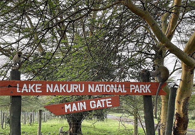 egret-savannah-camp-lake-nakuru-national-park-main-gate-sign Egret Savannah Camp Lake Nakuru National Park