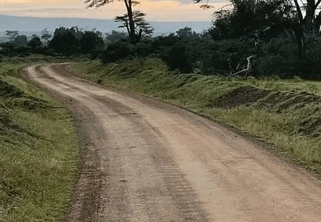 egret-savannah-camp-lake-nakuru-national-park-roads Egret Savannah Camp Lake Nakuru National Park