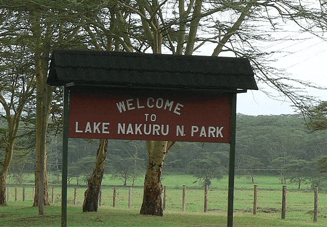 egret-savannah-camp-lake-nakuru-national-park-sign Egret Savannah Camp Lake Nakuru National Park