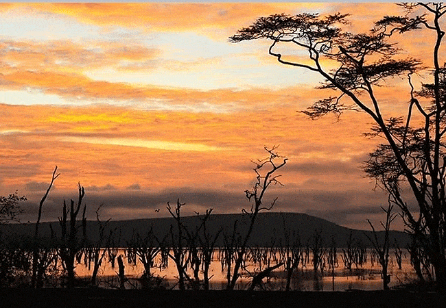 egret-savannah-camp-lake-nakuru-national-park-sunrise Egret Savannah Camp Lake Nakuru National Park