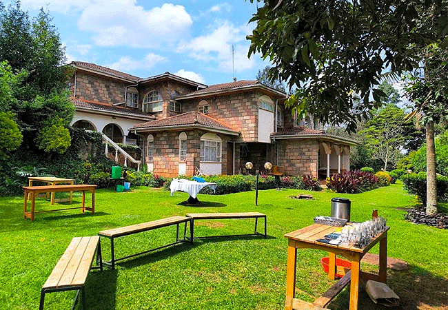 gatura-greens-farm-tour-&-stays-in-muranga Purple Tea Farm Tour at Gatura Greens Farm Muranga County