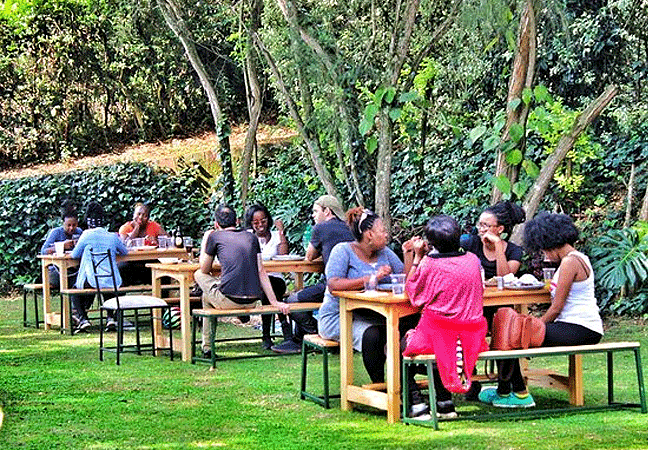 gatura-greens-purple-tea-farm-and-tours Purple Tea Farm Tour at Gatura Greens Farm Muranga County